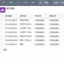仁和集团整体信息化及资产管理平台项目实践分享