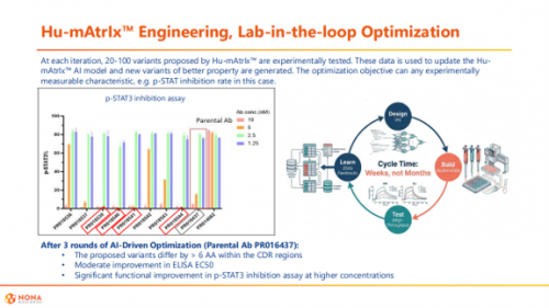 苗洪江3